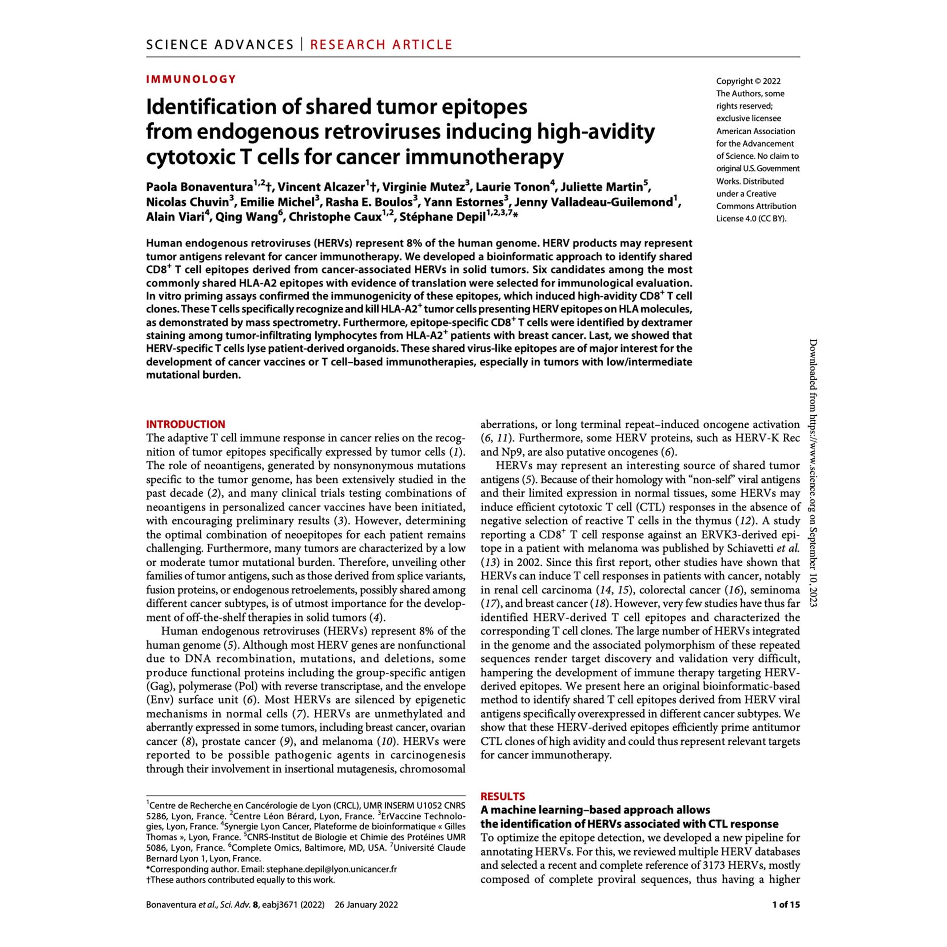 <h3>Unlocking a New Class of Cancer Targets: HERV Neoantigens</h3> <p>   <em><strong>Science Advances</strong></em>. 2022 Jan 28; 8(4): eabj3671.<br>   Identification of shared tumor epitopes from endogenous retroviruses inducing high-avidity cytotoxic T cells for cancer immunotherapy. </p>